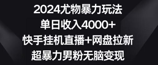 2024尤物暴力玩法，单日收入4000+，快手挂机直播+网盘拉新，超暴力男粉无脑变现【揭秘】-金易项目网