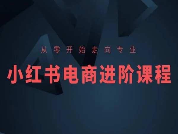 从零开始走向专业，小红书电商进阶课程-金易项目网