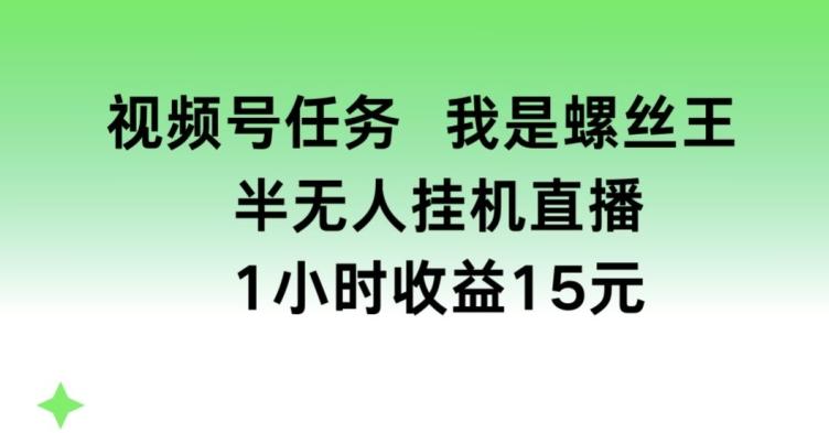 视频号任务，我是螺丝王， 半无人挂机1小时收益15元【揭秘】-金易项目网