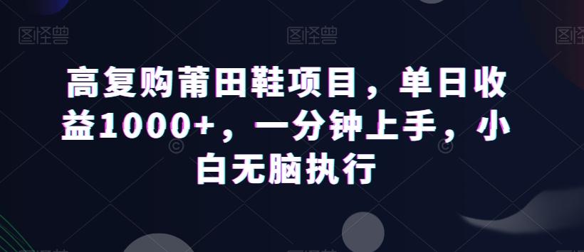 高复购莆田鞋项目，单日收益1000+，一分钟上手，小白无脑执行-金易项目网