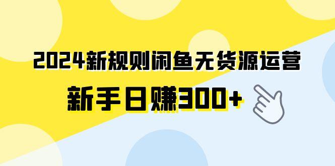 (9522期)2024新规则闲鱼无货源运营新手日赚300+-金易项目网