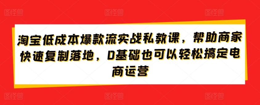 淘宝低成本爆款流实战私教课，帮助商家快速复制落地，0基础也可以轻松搞定电商运营-金易项目网