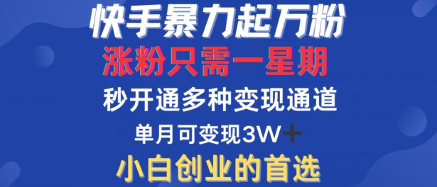 快手暴力起万粉，涨粉只需一星期，多种变现模式，直接秒开万合，单月变现过W【揭秘】-金易项目网