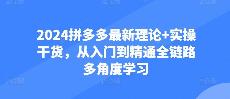 2024拼多多最新理论+实操干货，从入门到精通全链路多角度学习-金易项目网