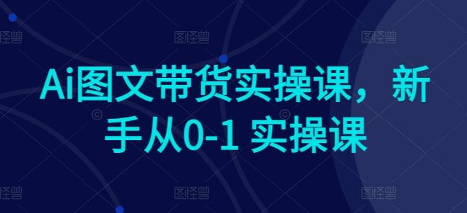 Ai图文带货实操课，新手从0-1 实操课-金易项目网