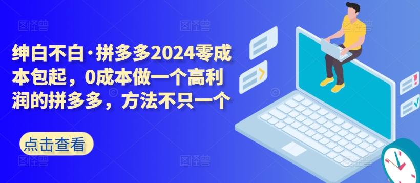 拼多多2024零成本包起，0成本做一个高利润的拼多多，方法不只一个-金易项目网