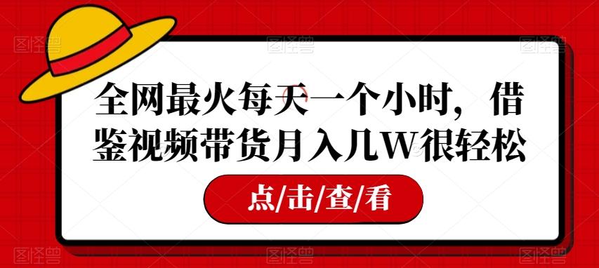 全网最火每天一个小时，借鉴视频带货月入几W很轻松【揭秘】-金易项目网