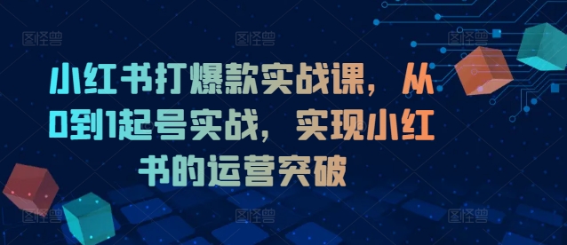 小红书打爆款实战课，从0到1起号实战，实现小红书的运营突破-金易项目网