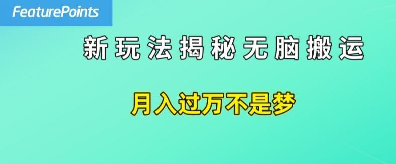 简单操作，每天50美元收入，搬运就是赚钱的秘诀【揭秘】-金易项目网