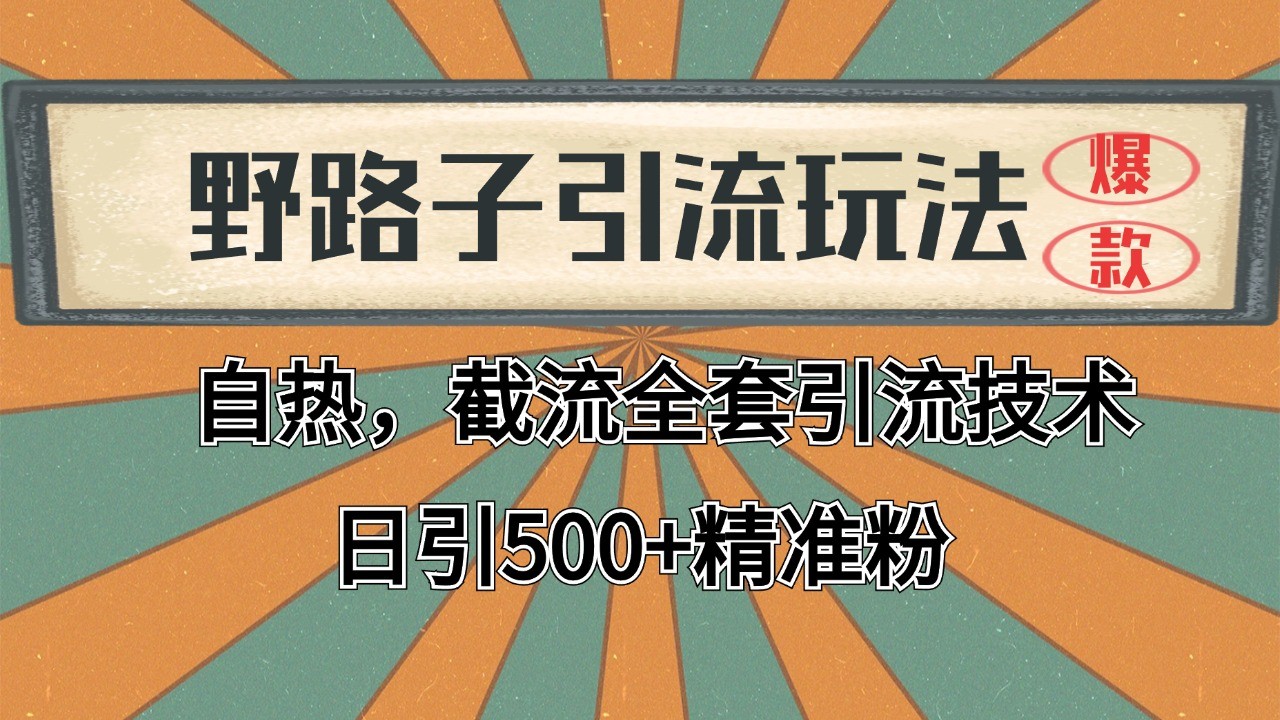 抖音小红书视频号全平台引流打法，全自动引流日引2000+精准客户-金易项目网