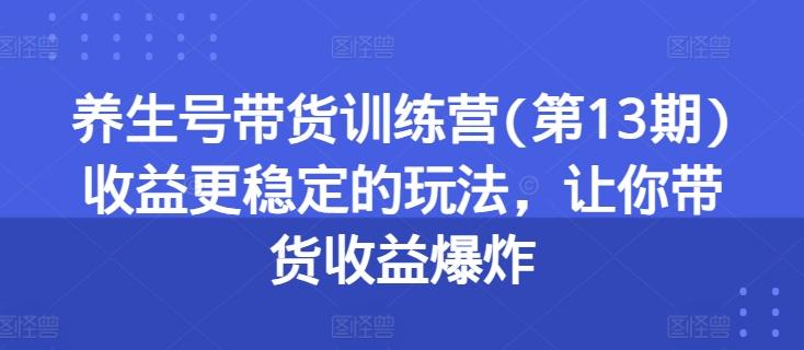 养生号带货训练营(第13期)收益更稳定的玩法，让你带货收益爆炸-金易项目网
