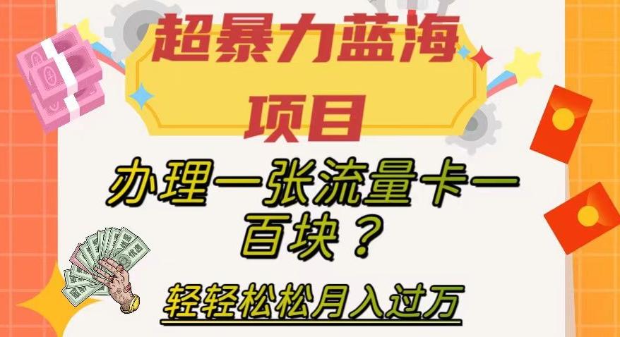 超暴力蓝海项目，办理一张流量卡一百块？轻轻松松月入过万，保姆级教程【揭秘】-金易项目网