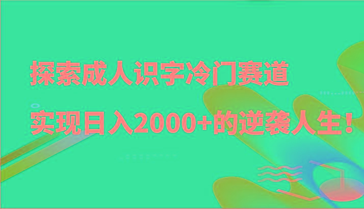 探索成人识字冷门赛道，实现日入2000+的逆袭人生！-金易项目网