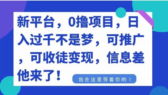 不要再花冤枉钱了，0撸项目，每天坚持，稳定1000+-金易项目网