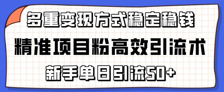 精准项目粉高效引流术，新手单日引流50+，多重变现方式稳定赚钱【揭秘】-金易项目网