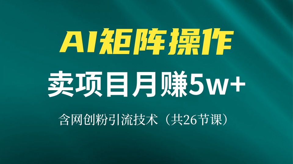 网创IP打造课，借助AI卖项目月赚5万+，含引流技术(共26节课-金易项目网