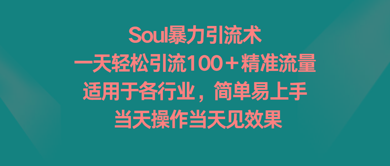 Soul暴力引流术，一天轻松引流100＋精准流量，适用于各行业，简单易上手！-金易项目网