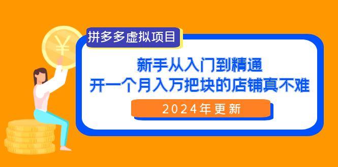 (9744期)拼多多虚拟项目：入门到精通，开一个月入万把块的店铺 真不难(24年更新)-金易项目网