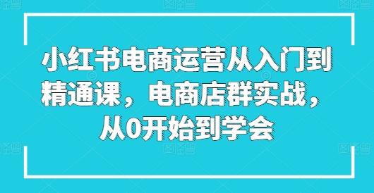 小红书电商运营从入门到精通课，电商店群实战，从0开始到学会-金易项目网