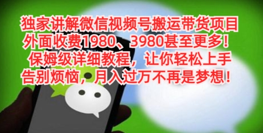 独家讲解微信视频号搬运带货项目，保姆级详细教程-金易项目网
