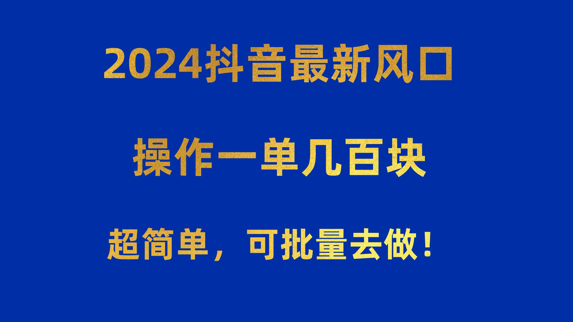 2024抖音最新风口！操作一单几百块！超简单，可批量去做！！！-金易项目网