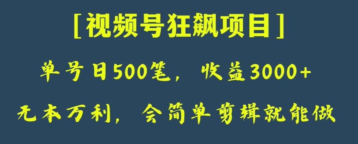 日收款500笔，纯利润3000+，视频号狂飙项目，会简单剪辑就能做【揭秘】-金易项目网