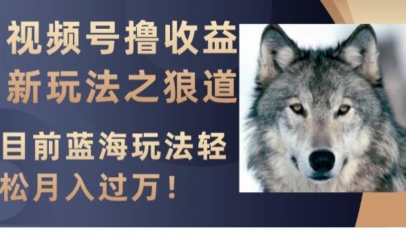 视频号撸收益新玩法之狼道，目前蓝海玩法，轻松月入过万【揭秘】-金易项目网