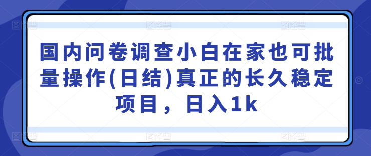 国内问卷调查小白在家也可批量操作(日结)真正的长久稳定项目，日入1k【揭秘】-金易项目网