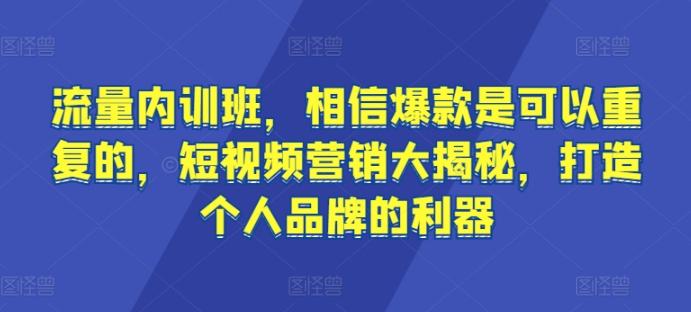 流量内训班，相信爆款是可以重复的，短视频营销大揭秘，打造个人品牌的利器-金易项目网