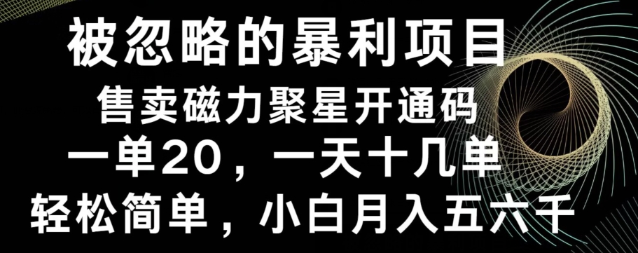 被忽略的暴利项目！售卖磁力聚星开通码，一单20，一天十几单，轻松月入五六千-金易项目网