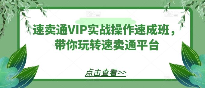 速卖通VIP实战操作速成班，带你玩转速卖通平台-金易项目网