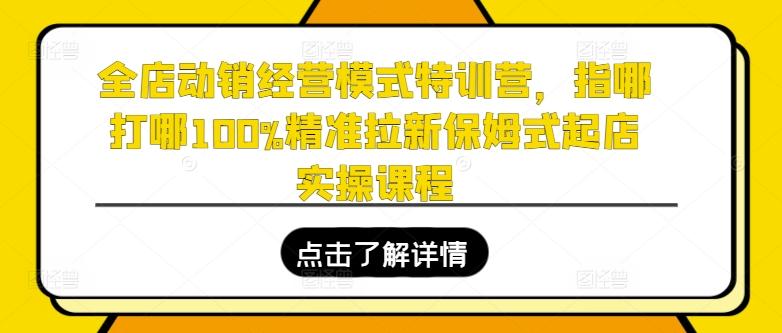 全店动销经营模式特训营，指哪打哪100%精准拉新保姆式起店实操课程-金易项目网