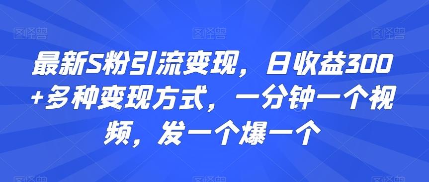 最新S粉引流变现，日收益300+多种变现方式，一分钟一个视频，发一个爆一个【揭秘】-金易项目网