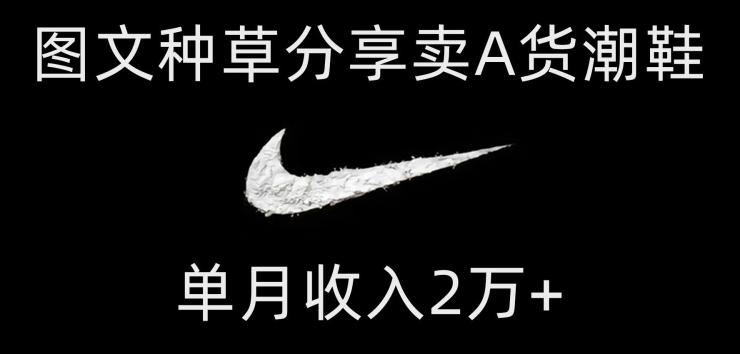 靠图文种草分享卖A货潮鞋，每天一小时，单月收入2万+【揭秘】-金易项目网