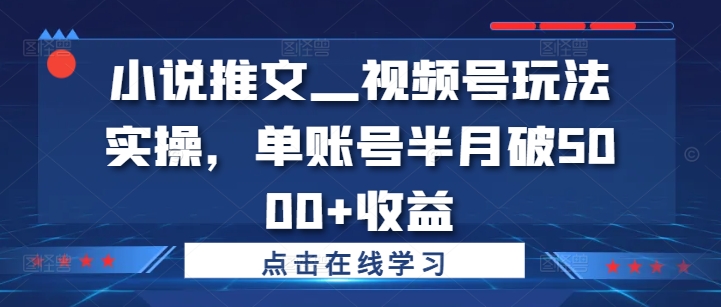 小说推文—视频号玩法实操，单账号半月破5000+收益-金易项目网