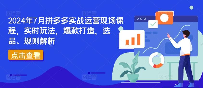 2024年7月拼多多实战运营现场课程，实时玩法，爆款打造，选品、规则解析-金易项目网