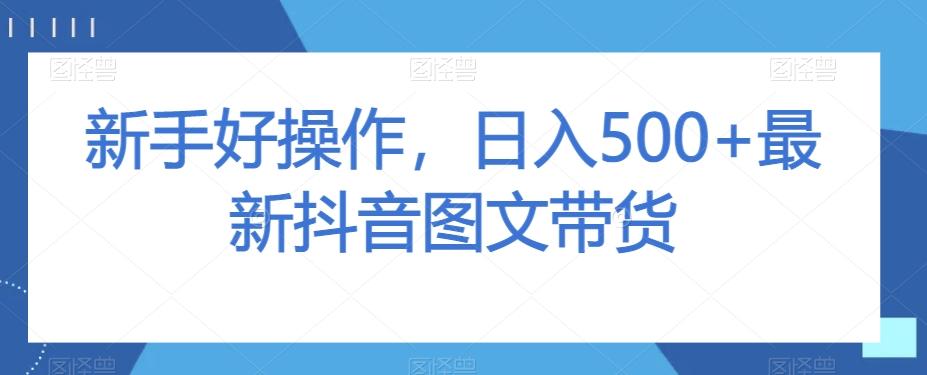 新手好操作，日入500+最新抖音图文带货【揭秘】-金易项目网