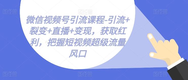 微信视频号引流课程-引流+裂变+直播+变现，获取红利，把握短视频超级流量风口-金易项目网