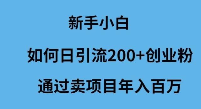 (9668期)新手小白如何日引流200+创业粉通过卖项目年入百万-金易项目网