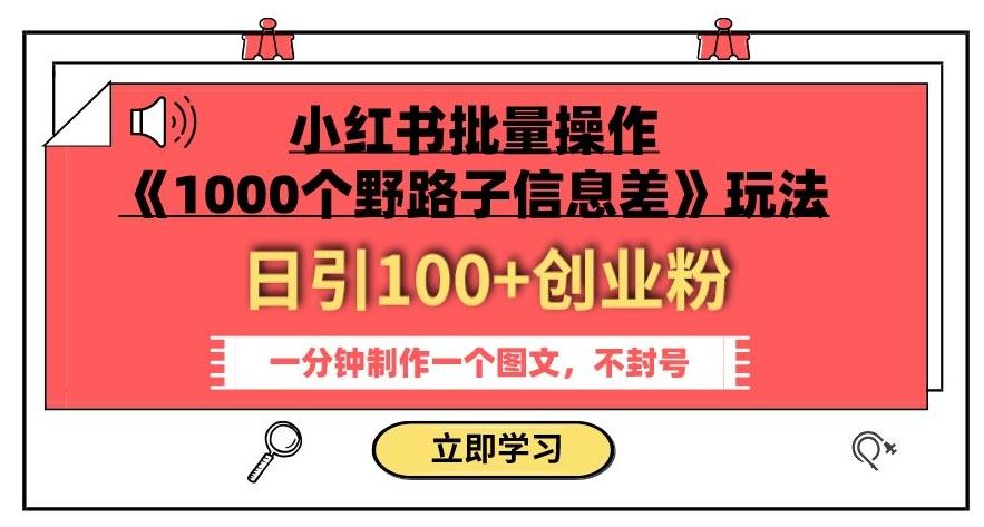 小红书批量操作《1000个野路子信息差》玩法，一分钟制作一个图文，不封号，日引100+创业粉-金易项目网