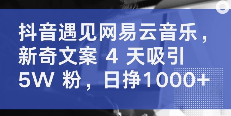 抖音遇见网易云音乐，新奇文案 4 天吸引 5W 粉，日挣1000+【揭秘】-金易项目网