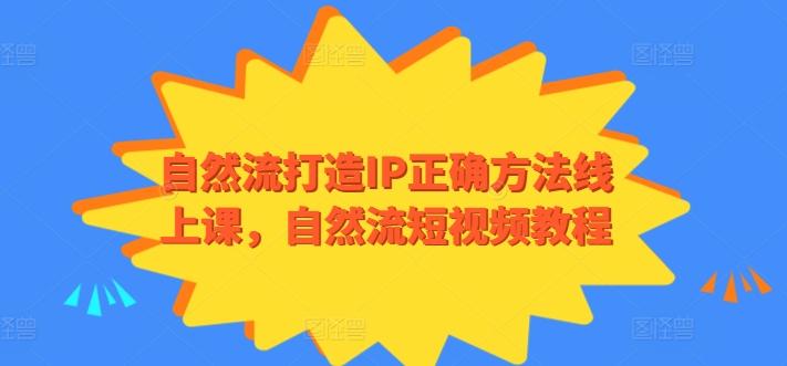 自然流打造IP正确方法线上课，自然流短视频教程-金易项目网