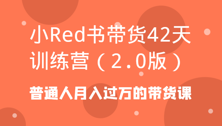 小Red书带货42天训练营(2.0版)普通人月入过万的带货课-金易项目网