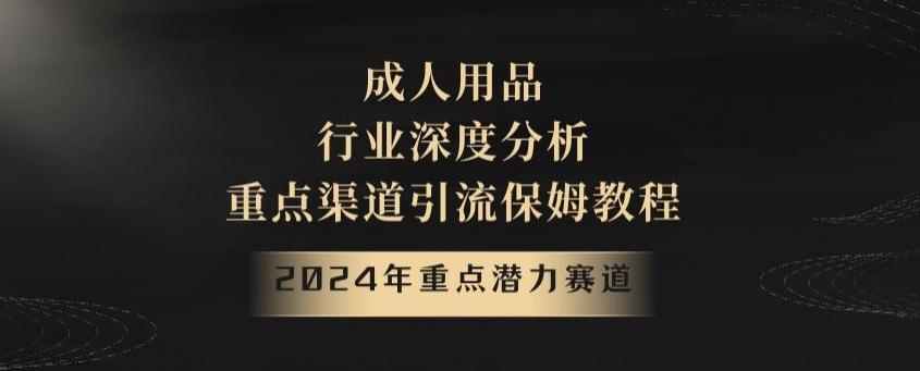 2024年重点潜力赛道，成人用品行业深度分析，重点渠道引流保姆教程【揭秘】-金易项目网