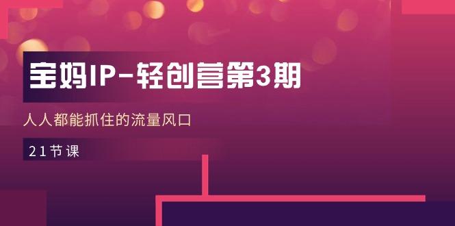 宝妈IP-轻创营第3期，人人都能抓住的流量风口(21节课-金易项目网