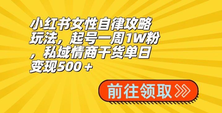 小红书女性自律攻略玩法，起号一周1W粉，私域情商干货单日变现500＋-金易项目网