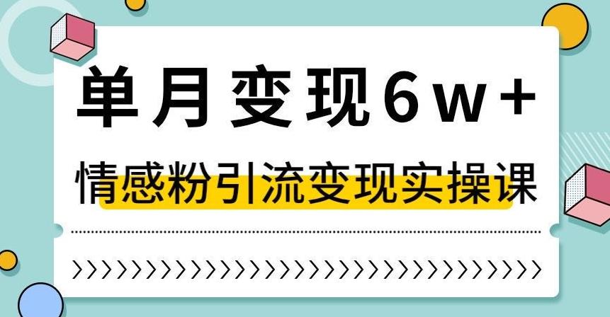 单月变现6W+，抖音情感粉引流变现实操课，小白可做，轻松上手，独家赛道【揭秘】-金易项目网