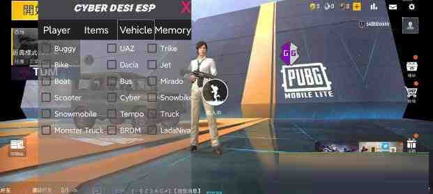 PUBG轻量老外裸奔绘制+自瞄 支持ROOT和框架 里面有全局离线-金易项目网