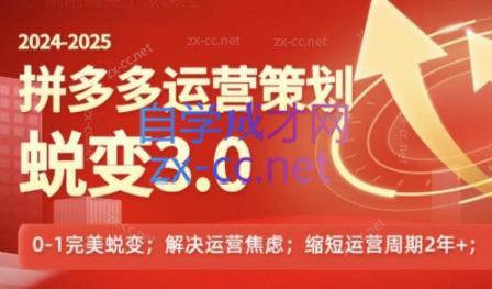 大力老师·2024拼多多运营策略蜕变3.0-金易项目网