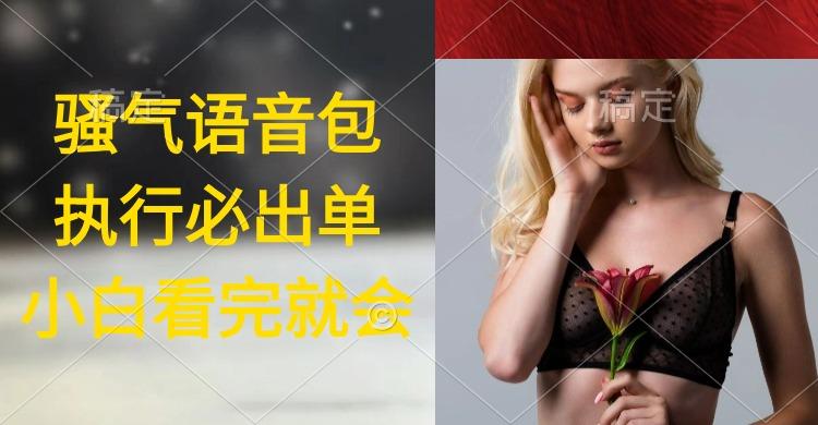 (9589期)执行就出单，日入2000+，超火骚气语音包，小白看完课程就能马上实操-金易项目网